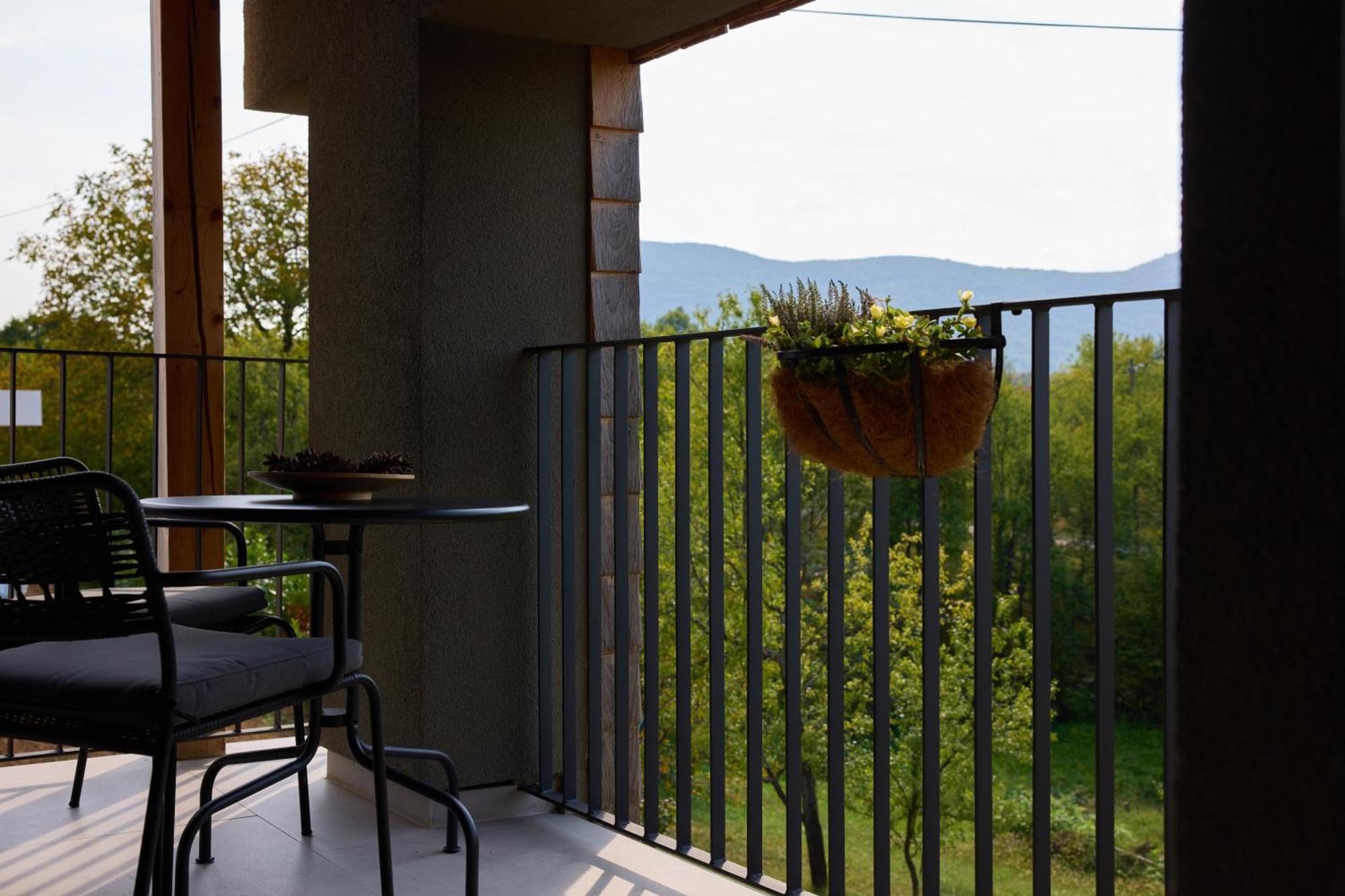 Plitvice Nest 2 Apartment Rakovica